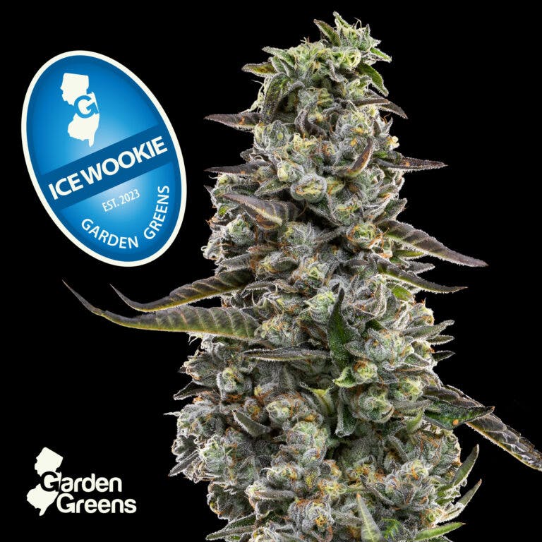 Garden Green | Ice Wookie | 3.5g Flower