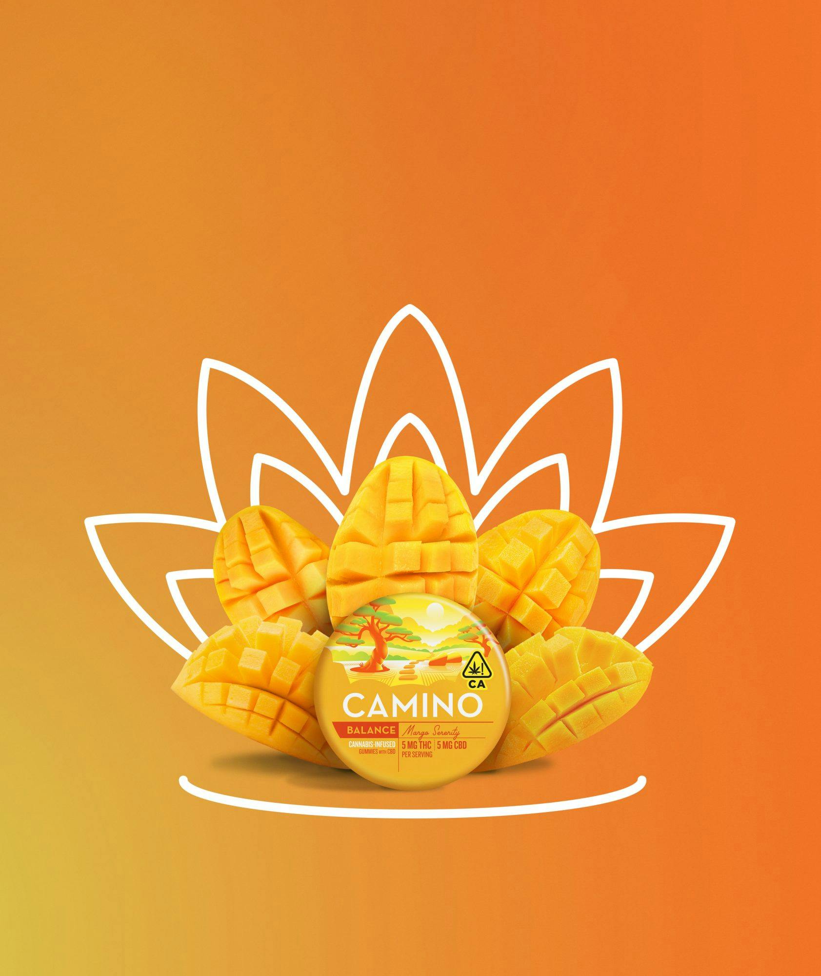 1:1 THC:CBD - 'Balance' Mango Serenity