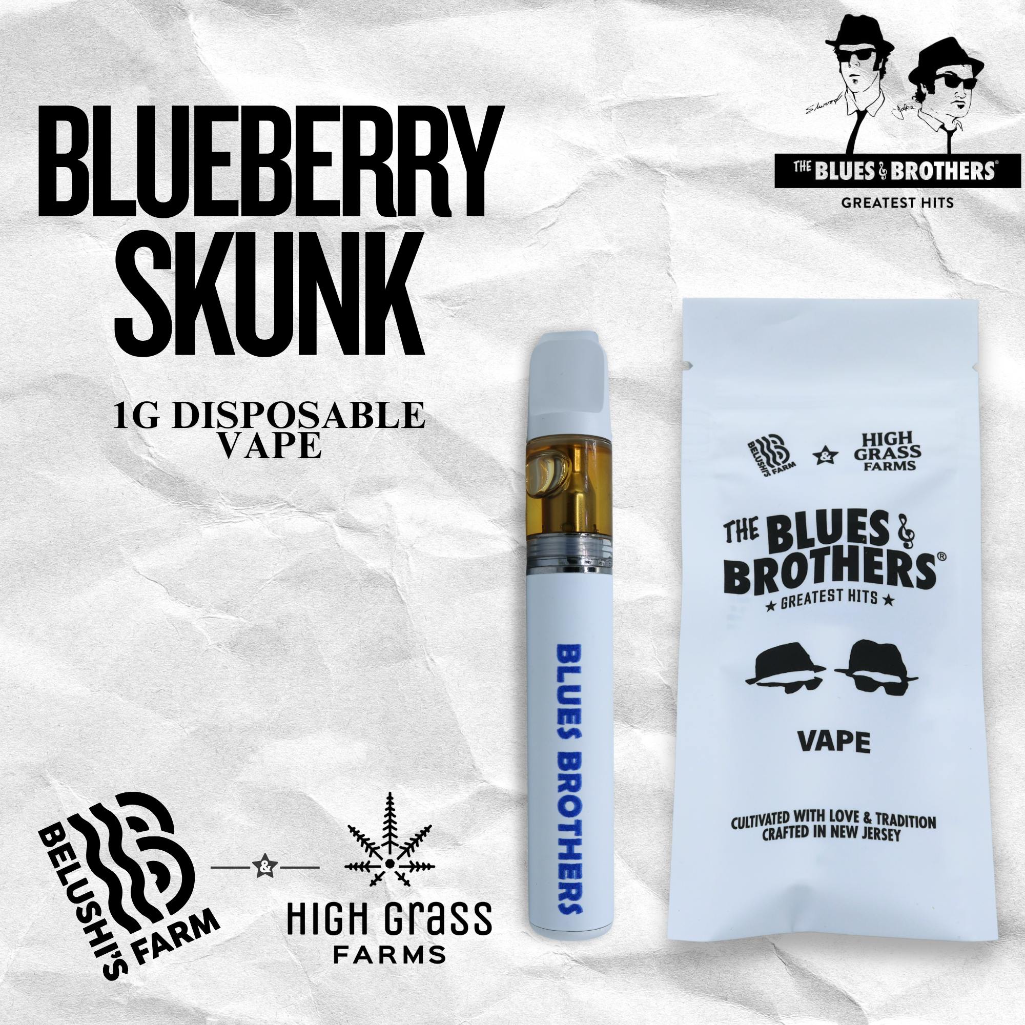 Blueberry Skunk | 1g Disposable