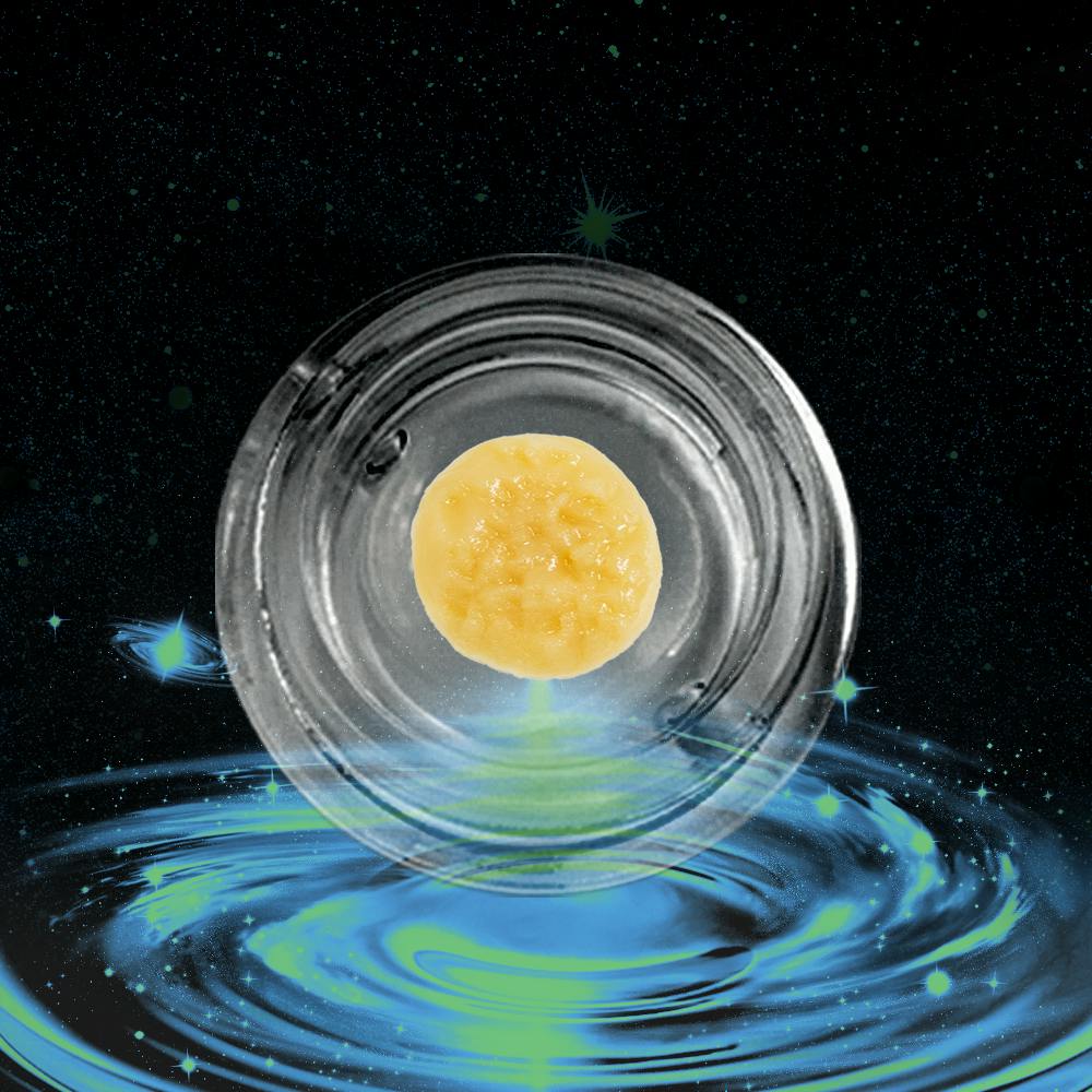 GMO | 1g Live Rosin