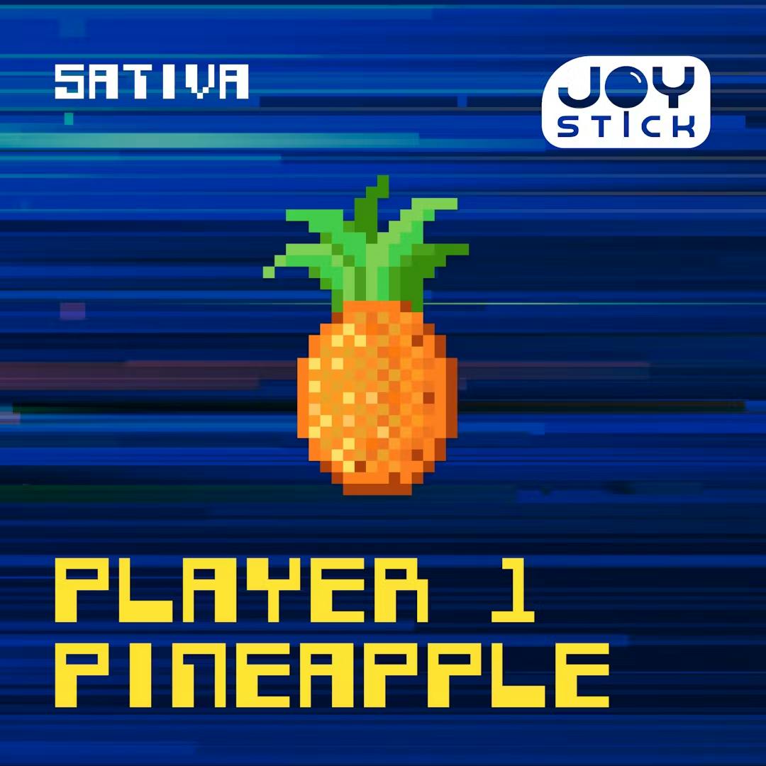 Joystick -  CART - Player 1 Pineapple
