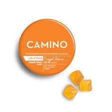 Camino - 100mg 20pk - 'Uplifting' Pineapple Habanero