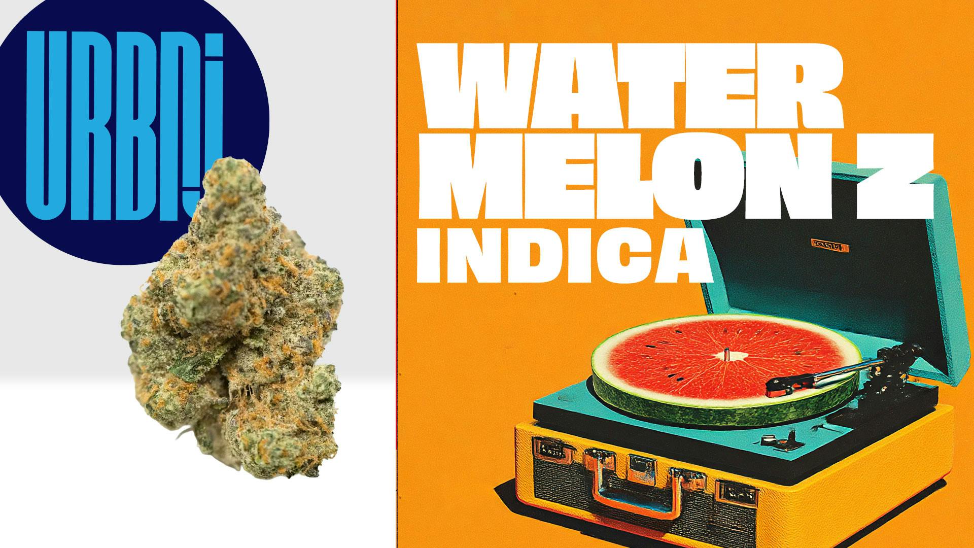 Watermelon Z | 14g
