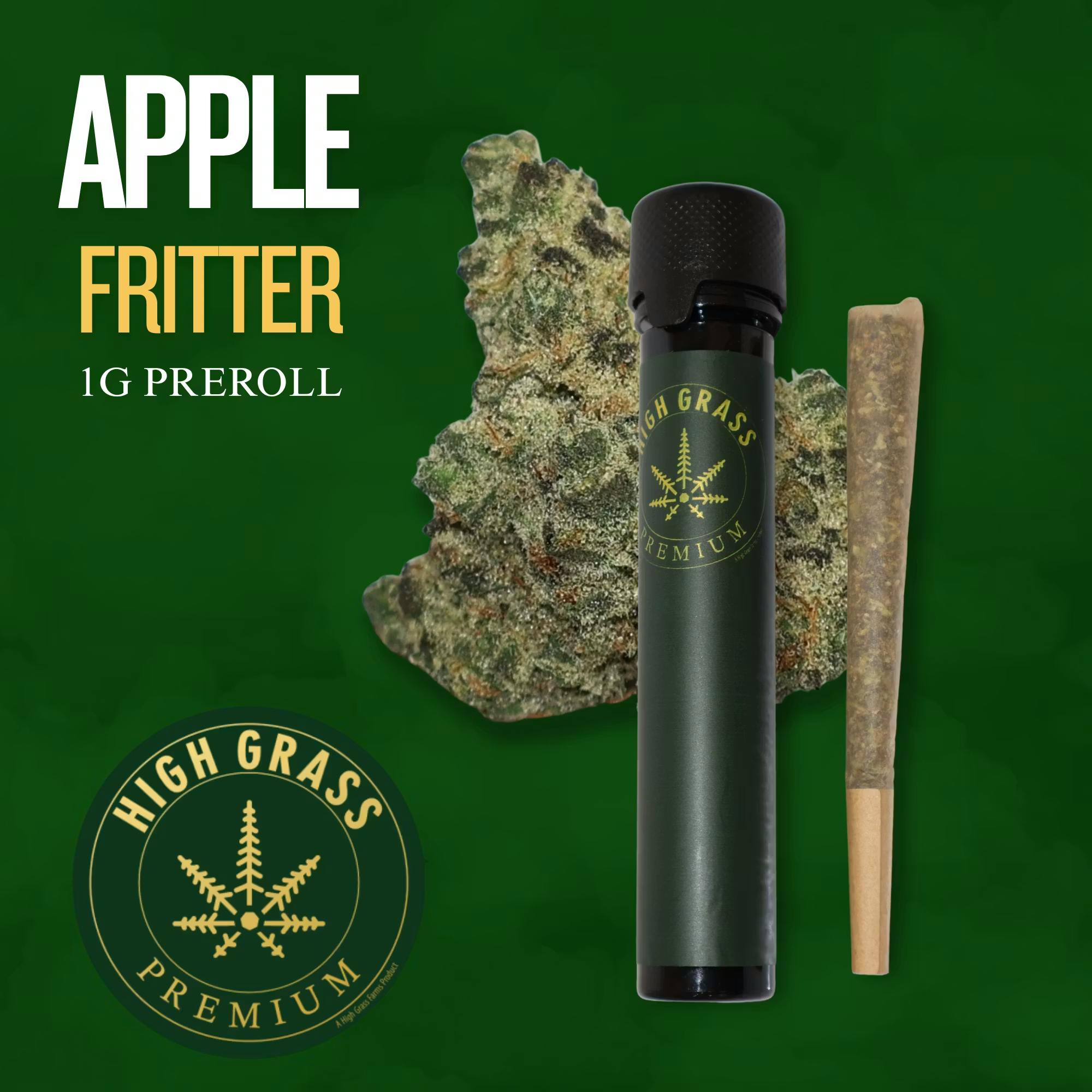 Apple Fritter