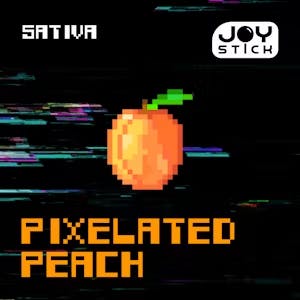 Joy Stick | Pixelated Peach | 1g Cart