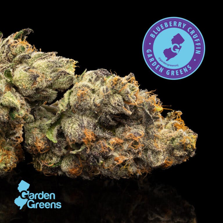 Blueberry Cruffin | 3.5g Flower