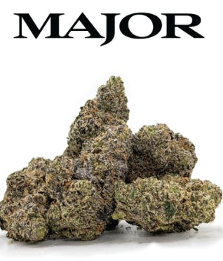 Major | Egg Roll | Flower | Indica | 3.5g