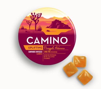 Camino | Pineapple Habanero | 100mg