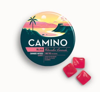 Camino | Watermelon Lemonade | 100mg