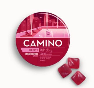 Camino | Wild Cherry | 100mg