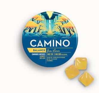 Camino | Yuzu Lemon 1:1 THC:CBD | 100mg