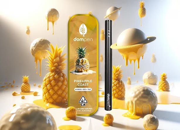 Dompen | Pineapple Coast | AIO | 1g