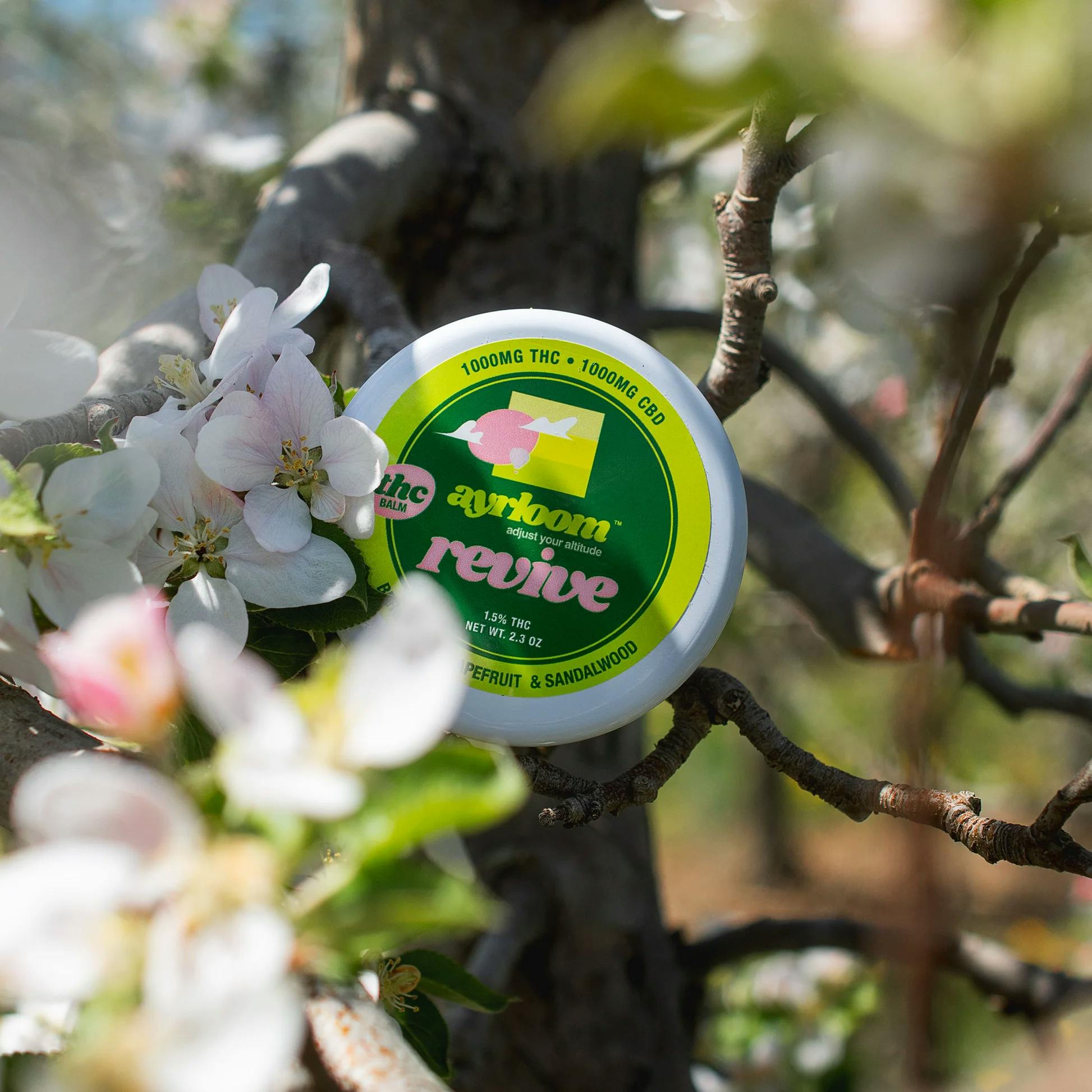 Ayrloom | Revive | Balm | 2.3oz | 1000THC:1000CBD