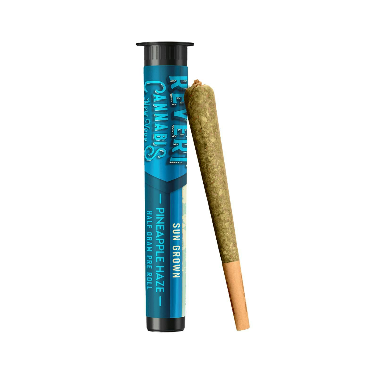 Revert | Pineapple Haze | Pre Roll | 0.5g