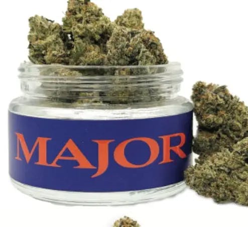 Major | El Chivo | Flower | 3.5g