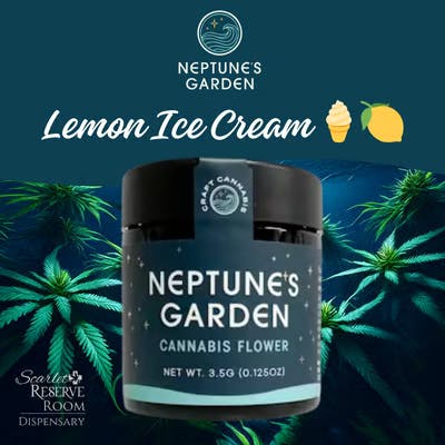 Lemon Ice Cream | 3.5g Flower | Neptune's Garden - 3.5g