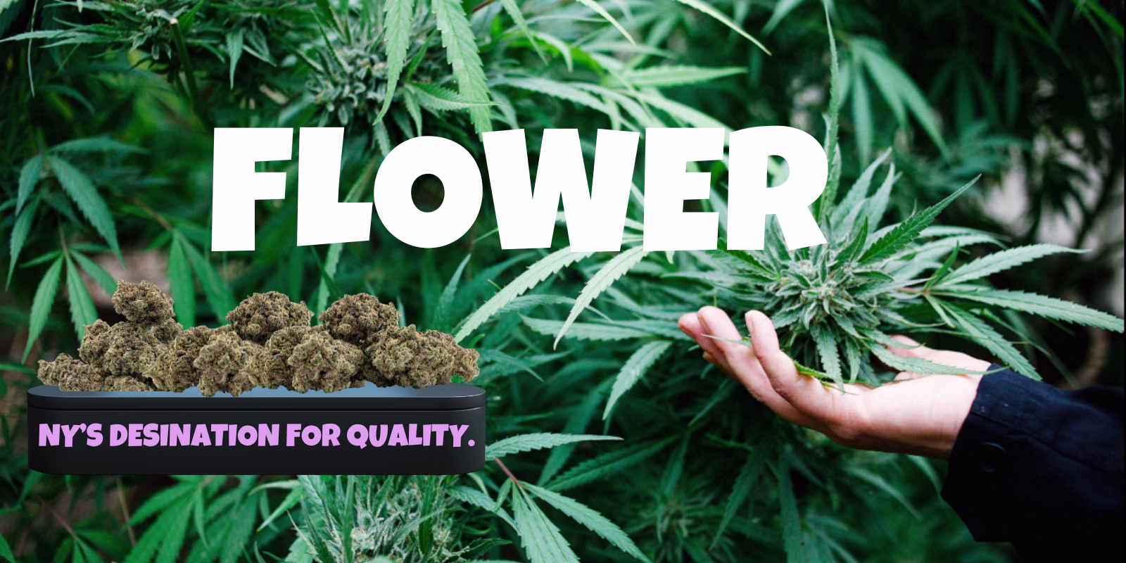Flower