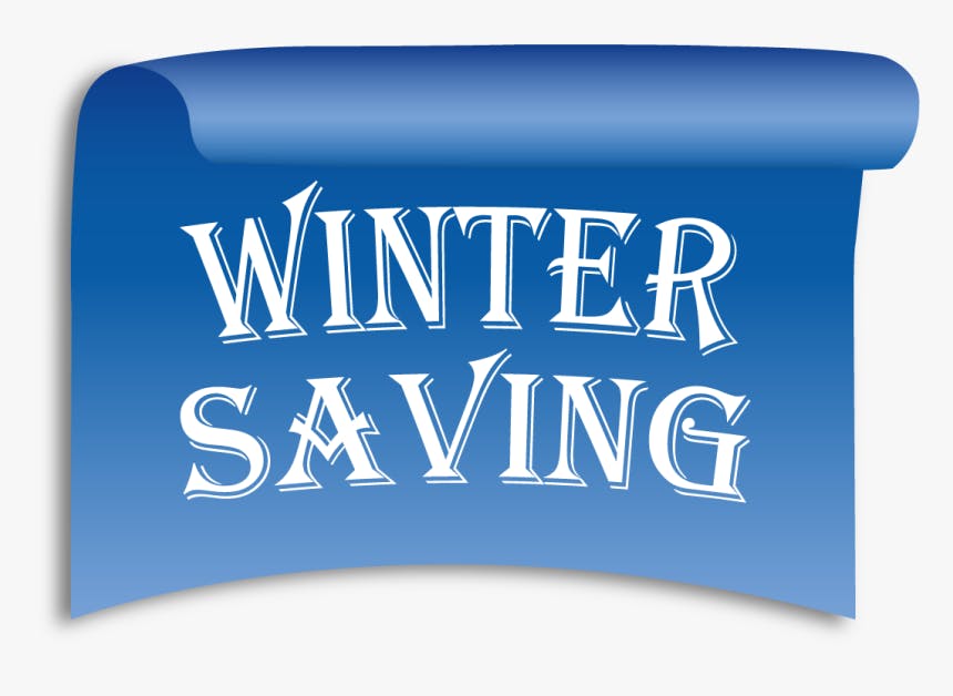 Winter Savings icon