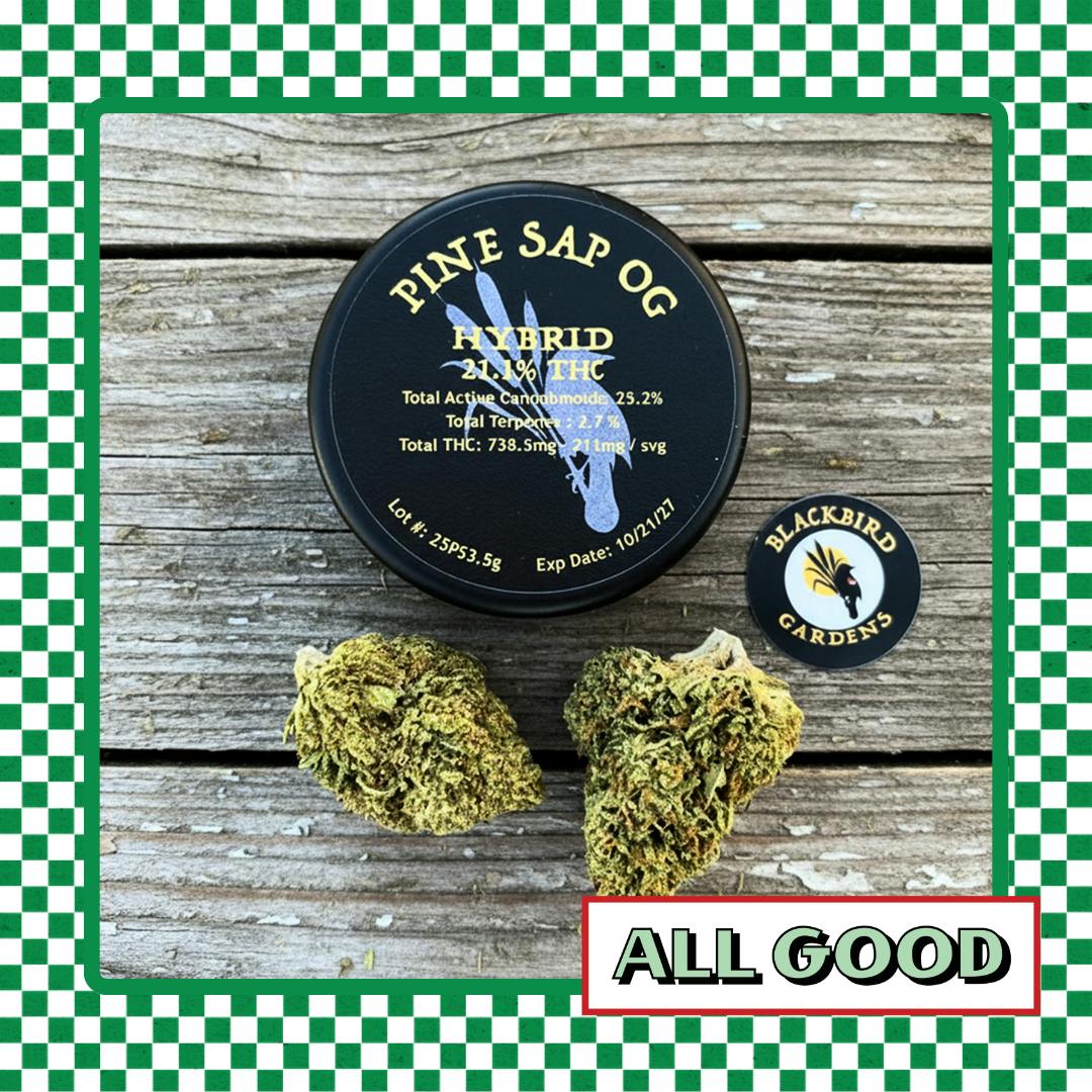 Blackbird Gardens | Pine Sap OG | Flower | Hybrid | 3.5g
