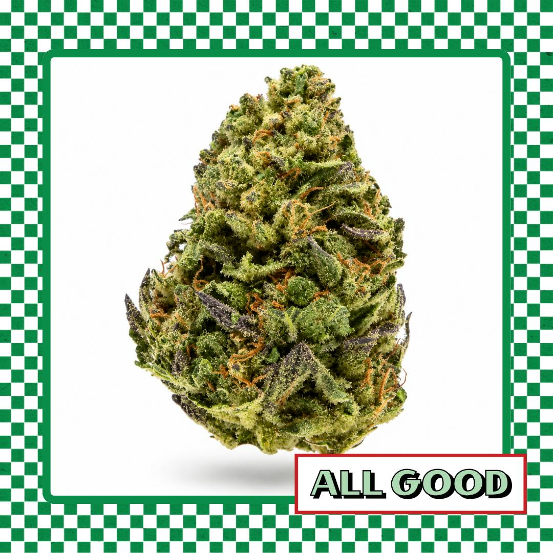 Slack Hollow | Birthday Cake | Flower | IndHyb | 1g
