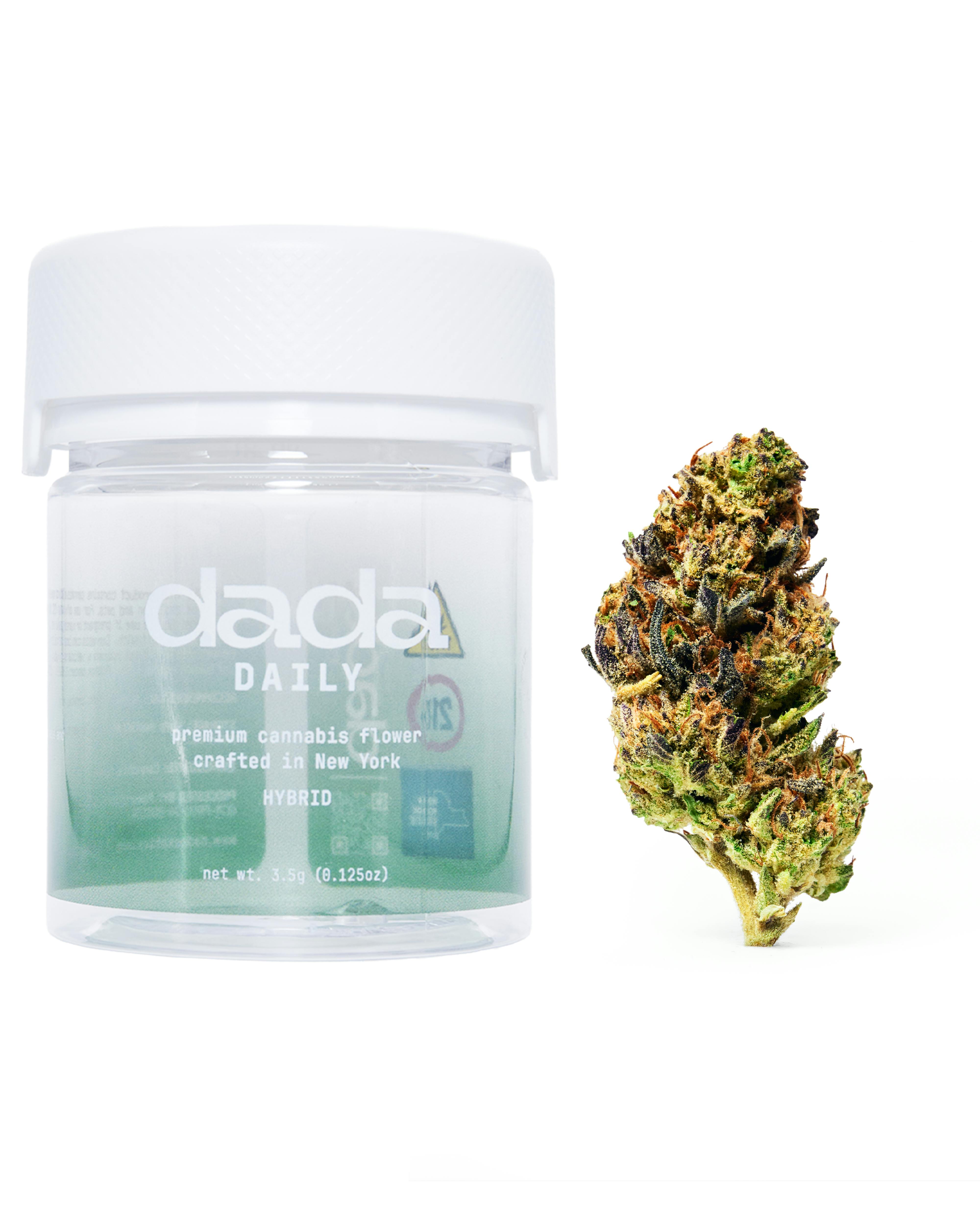 Dada Daily | Govt Oasis | Flower | Hybrid | 3.5g