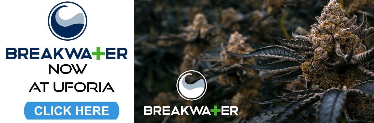 BREAKWATER