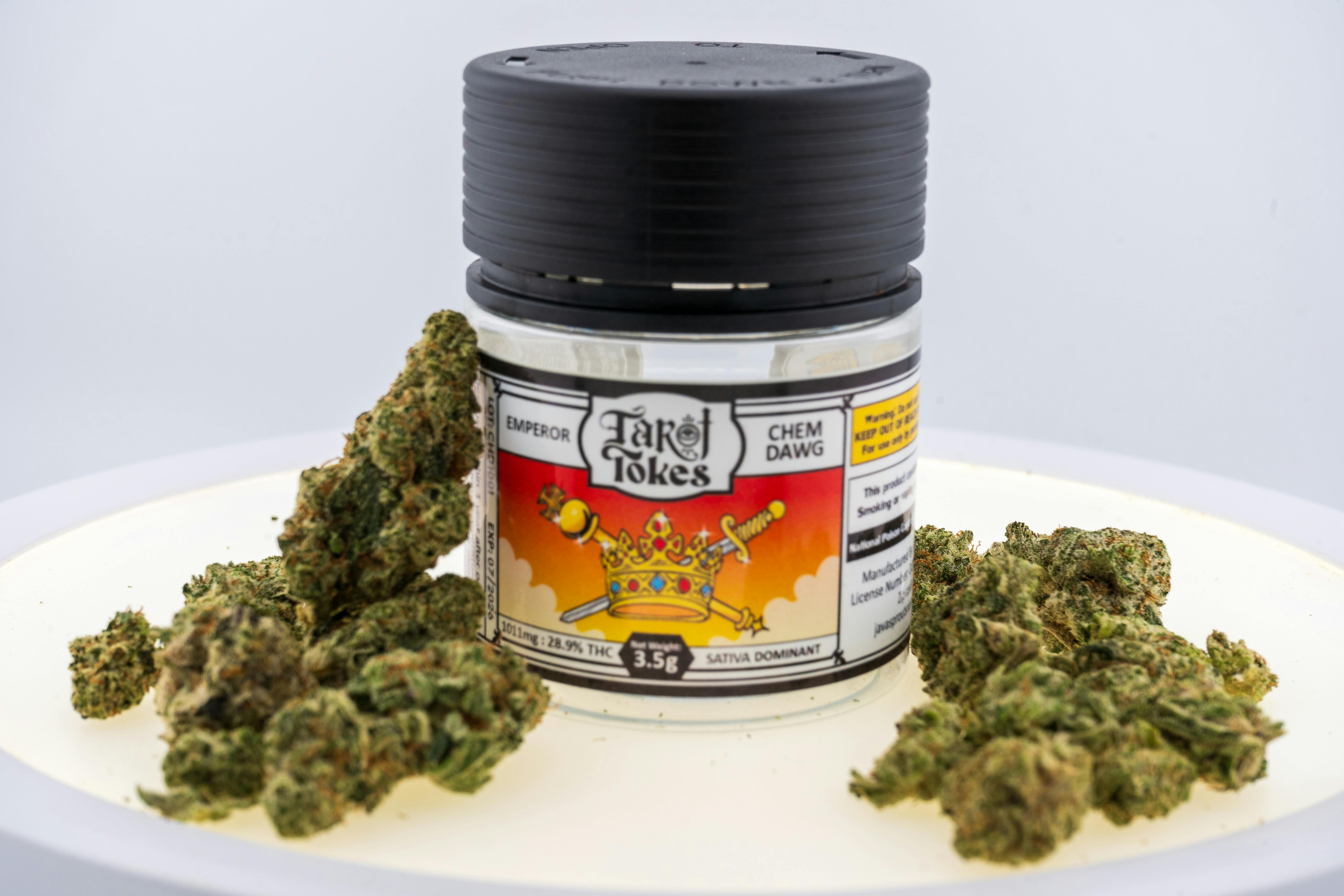 Chem Dawg | Jar | 3.5g