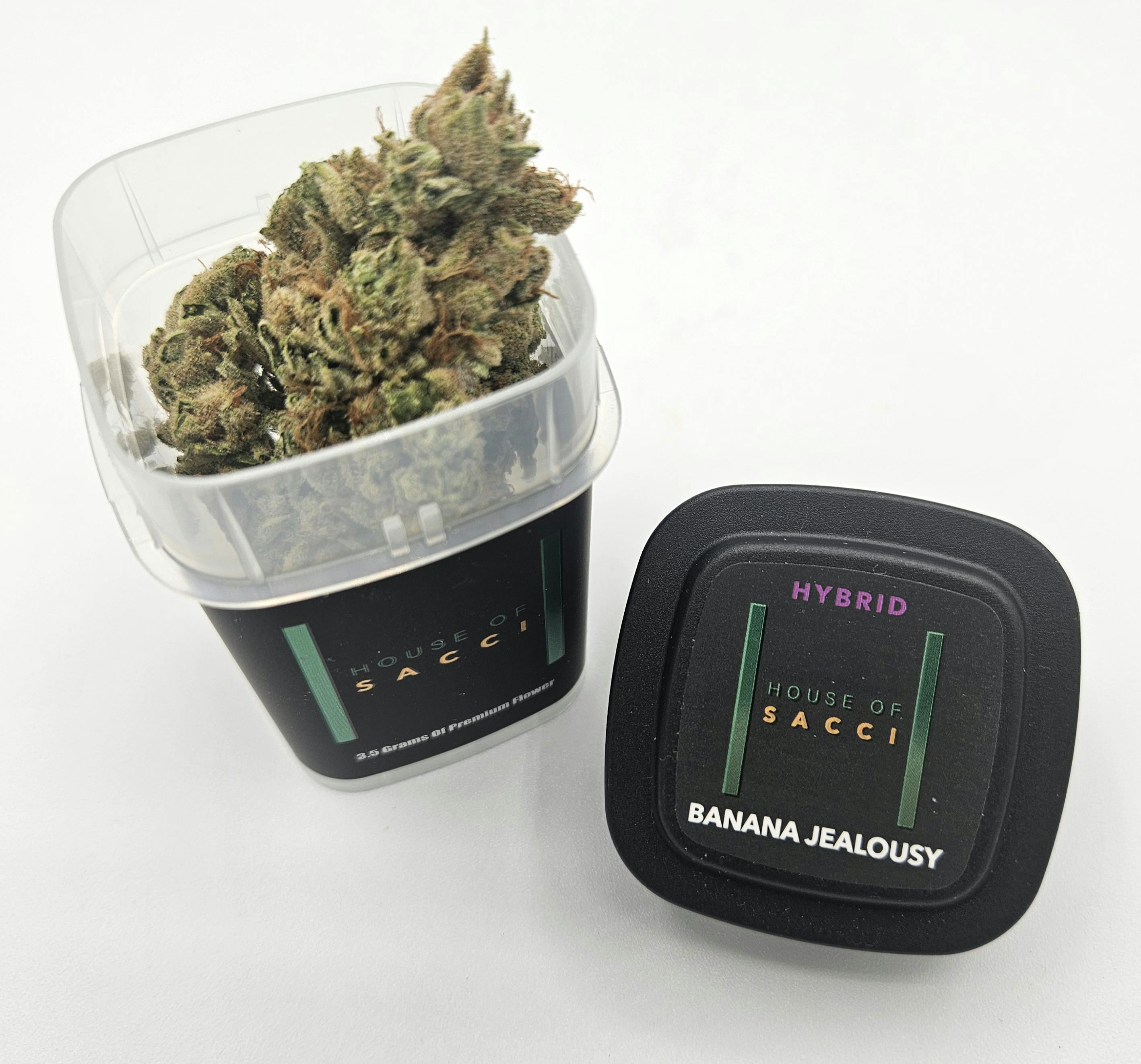 Banana Jealousy | Flower | 3.5g