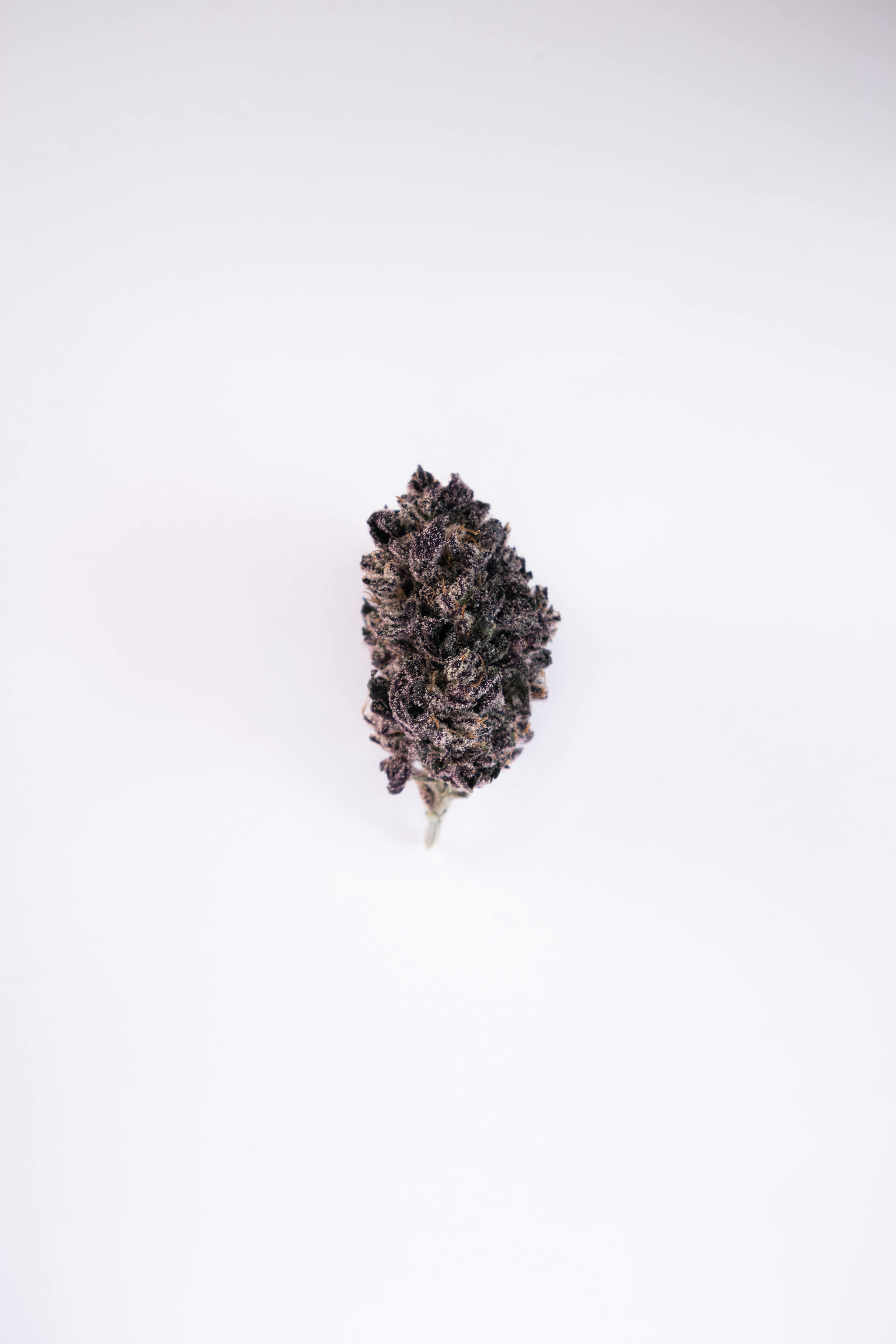 Devil's Drip | Flower | 3.5g