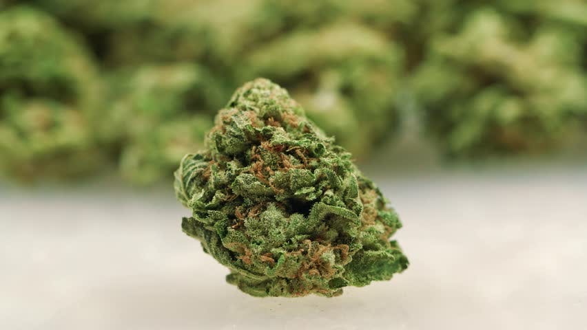 DEMO Flower - Blue Dream - 3.5g - 1/8oz in Southern Pines