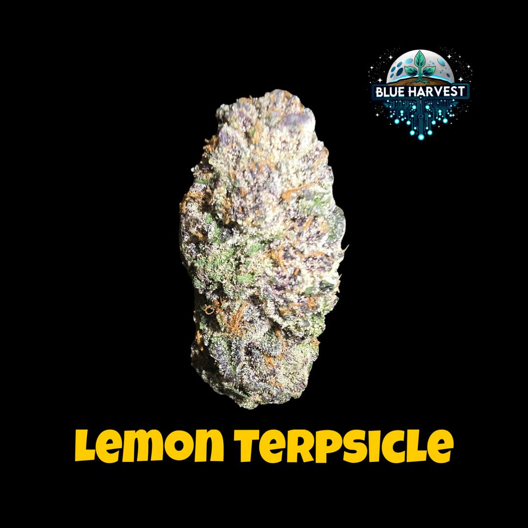 Lemon Terpsicle | 1G Flower