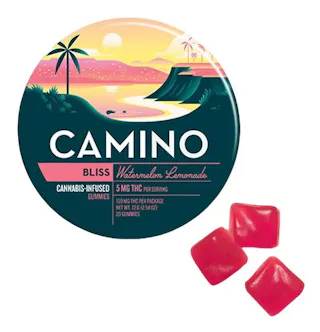 Camino - Watermelon Lemonade (Bliss) - 20pk - 100mg