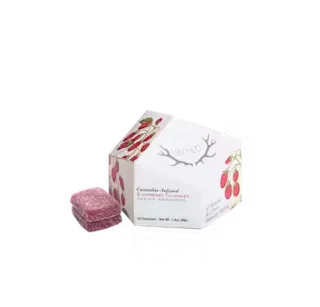 WYLD - Raspberry - 10pk - 100mg