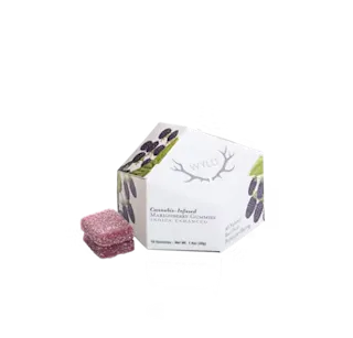 WYLD - Marionberry - 10pk - 100mg