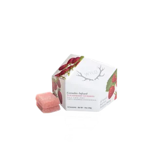 WYLD - Strawberry 1:20 THC:CBD - 10pk - 10mg