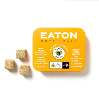 Eaton Botanicals - Mango Ginger Fixer Upper - 1:1 THC:CBD - 20pk - 100mg