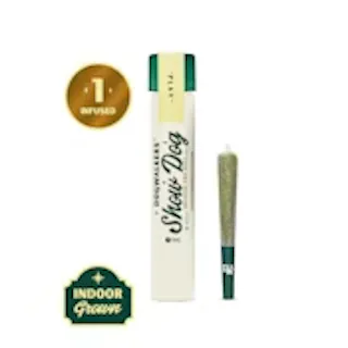 Dogwalkers - Jacks Delight (Indoor) - Big Dog Infused - 1g