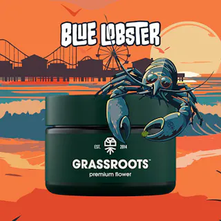Grassroots - Blue Lobster (Indoor) - 3.5g