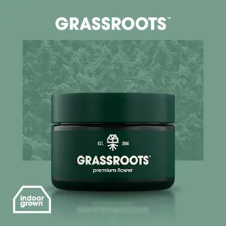 Grassroots - White Hot Guava (Indoor) - 3.5g