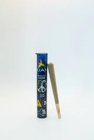 Kian - Northern Nights - preroll- 1g