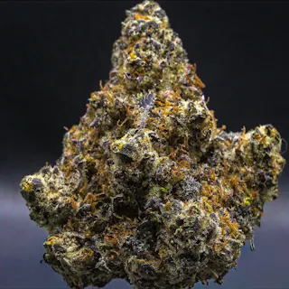 Milkweed - Blueberry Blitz (Indoor Hydroponics) - 3.5g