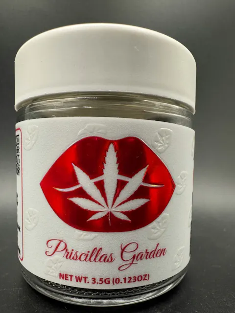 Priscilla's Garden - Gastopia (Indoor) - 3.5g