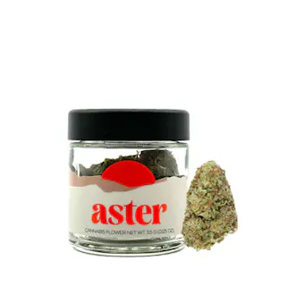 Aster - King Sherb - 3.5g