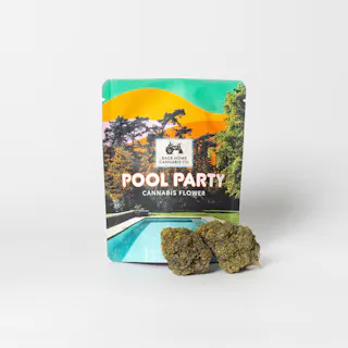 Back Home Cannabis Co - Pool Party (Pineapple Express) - 3.5g - Limited Edition Summer Strain