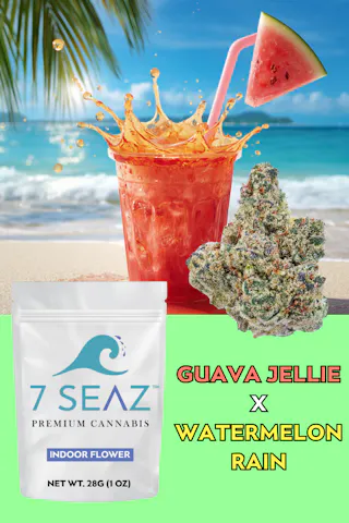 7Seaz - Guava Jellie x Watermelon (Indoor) - 28g