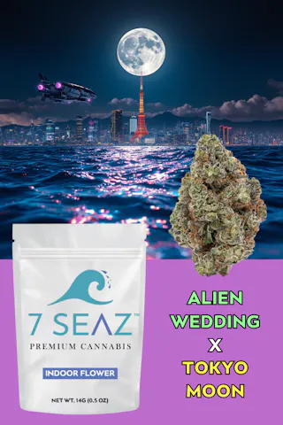 7Seaz - Alien Wedding x Tokyo Moon (Indoor) - 14g