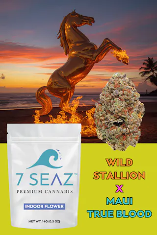 7Seaz - Wild Stallion x Maui True Blood (Indoor) - 14g