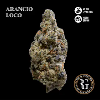 Royal Genetics - Arancio Loco (Indoor) - 3.5g