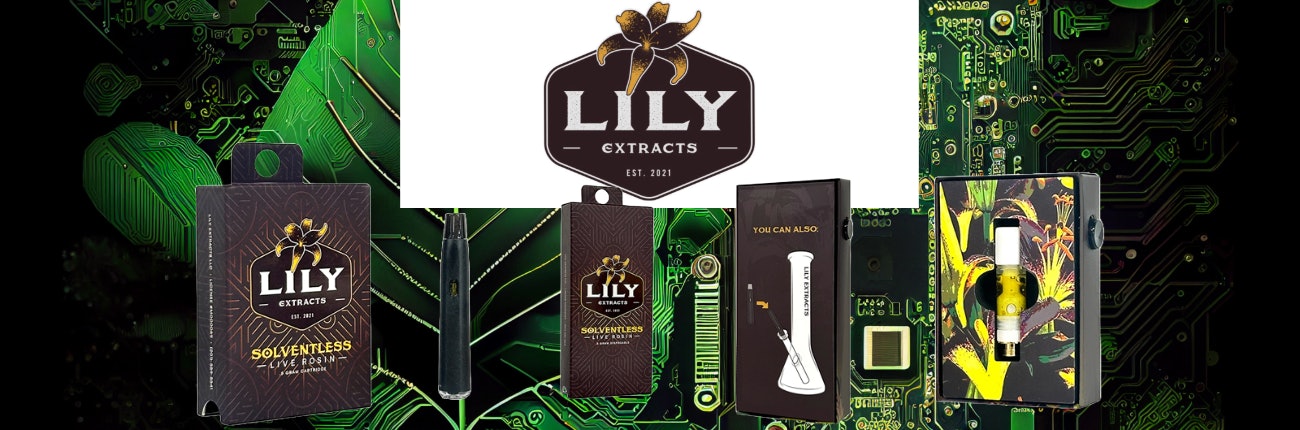 Lily Extracts