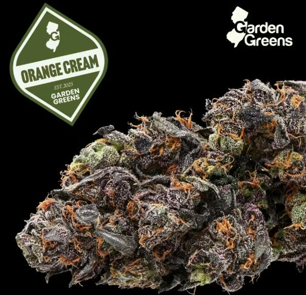 Orange Cream